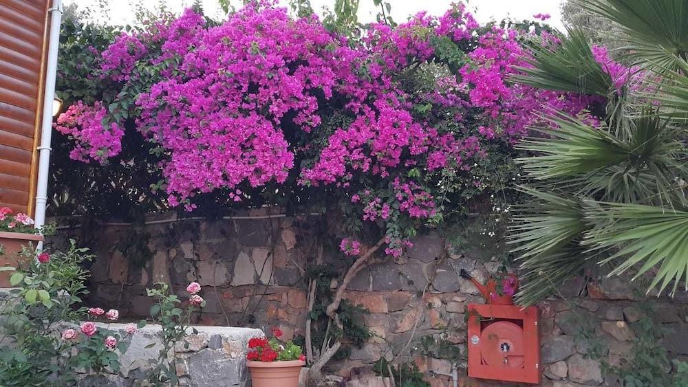 Kabak Armes Hotel Faralya Esterno foto